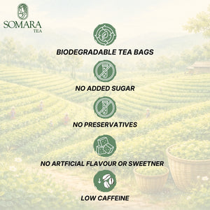 Assorted Box Green Tea